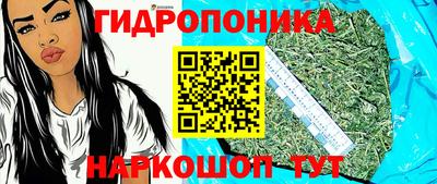 дмт Новозыбков
