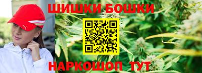 дмт Новозыбков
