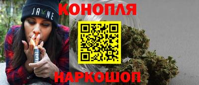 дмт Новозыбков